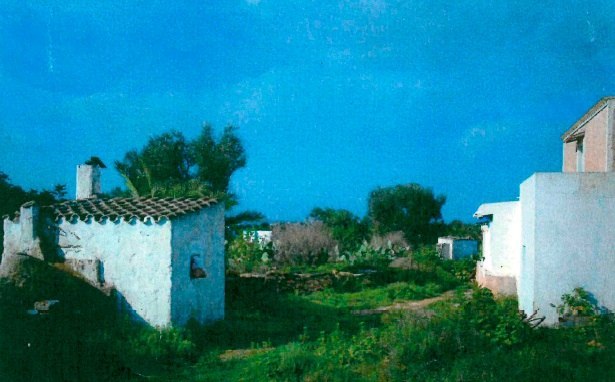 Propriété rurale avec grand terrain à Formentera